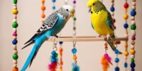 diy toys for budgies