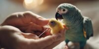 hand rearing parrot chicks guide