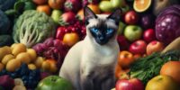 siamese cat health nutrition