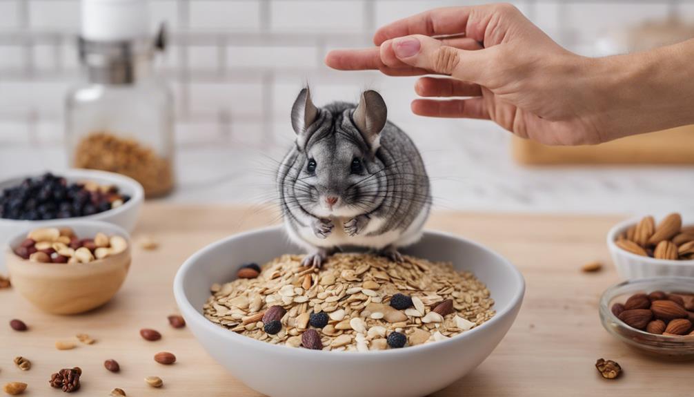 chinchilla treats made at home