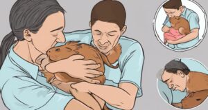 choking guinea pig assistance